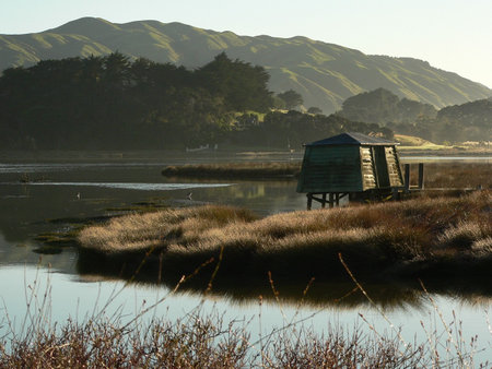 Bird hide in early morning sunの写真素材