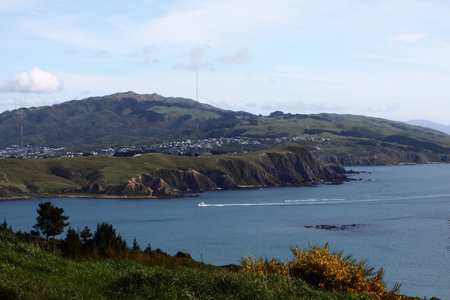 Porirua harbour New Zealandの写真素材