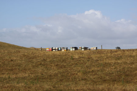 Beehives in a row on a hilltop