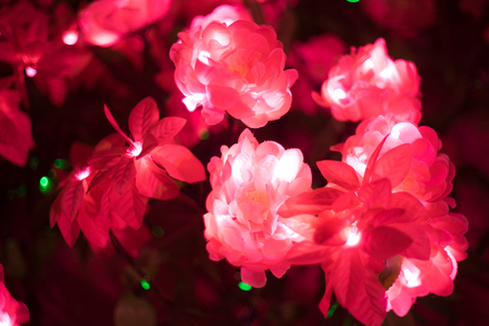 Artificial pink flower has led light in it.の写真素材