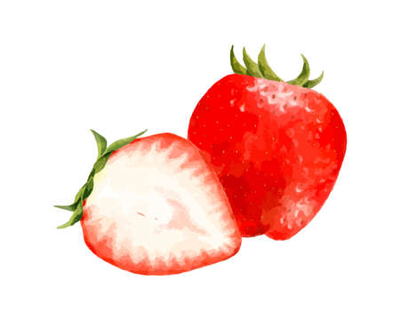 Strawberry and cut strawberry set watercolor vector illustrationのイラスト素材