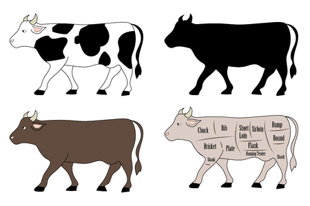 cattle variation setのイラスト素材