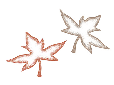 Vintage  drawing of fallen leavesのイラスト素材