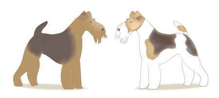 terrier dog image setのイラスト素材