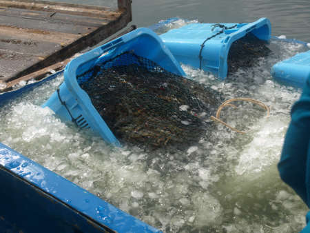 Chill killのeditorial素材