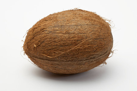 Coco on a white background
