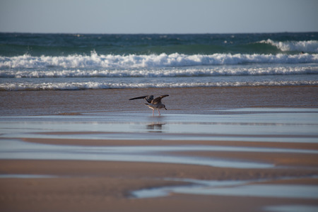 On a road trip with a camper van in the great north of Spain. Along the north west coast of the atlantic ocean. Landscapes, nature and surfing captures are the result of this impressive tour.の写真素材