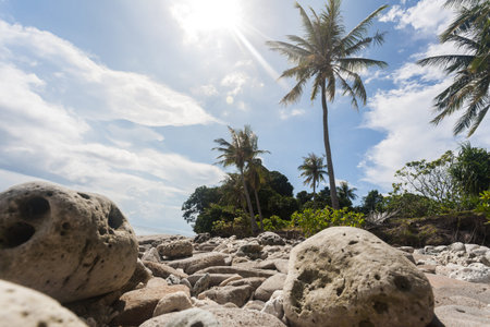 beach view on island of borneo - malaysia