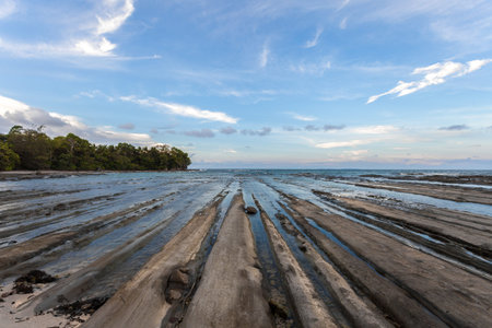 abstract rock shapes on the stony coast of borneo - malaysia
