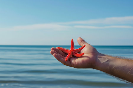 a man's hand holds a starfish against the backdrop of a calm seaの素材