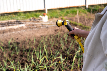 Watering the garden with a hose.