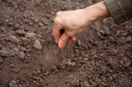Female hand planting seeds in the soil. Concept of planting seeds in the ground