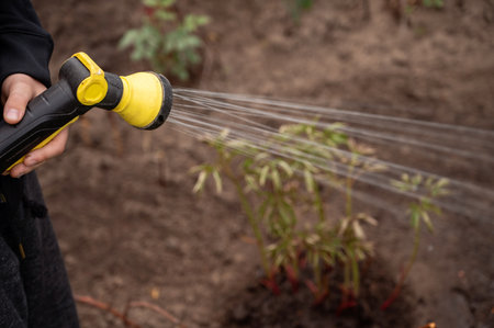 Sprinkler watering plants in the garden. Gardening concept.の写真素材