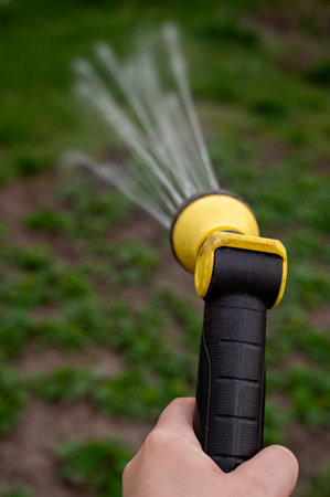 Gardener watering the garden with a hose, close-upの写真素材