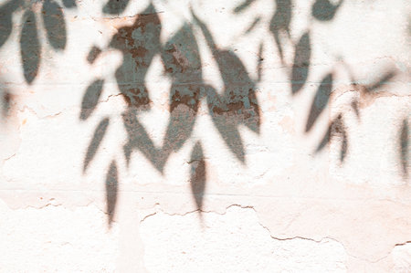 abstract of shadow tree on cement wall for background used. vintage toneの写真素材