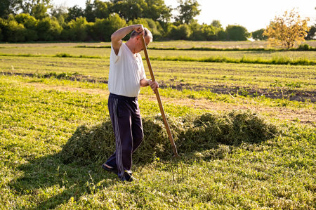 Mature man walking hay in the field on sunny dayの写真素材
