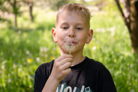 A handsome blond boy blows a dandelion in the park. Selective focus.の写真素材