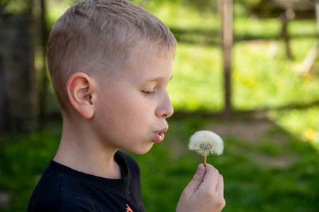 A blond boy blows a dandelion in the garden. Selective focus.の写真素材