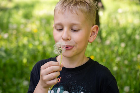 A handsome blond boy blows a dandelion in the park. Selective focus.の写真素材