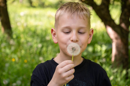 A handsome blond boy blows a dandelion in the park. Selective focus.の写真素材
