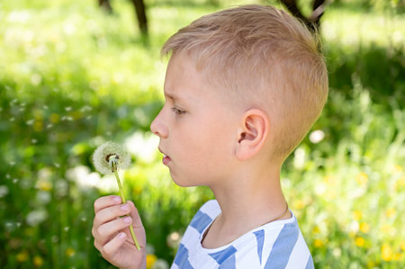 Cute little blond boy blowing a dandelion in the summer garden.の写真素材