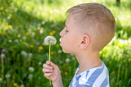 Little blond boy blowing dandelion in the park on summer dayの写真素材