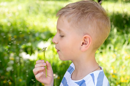 Cute little blond boy blowing a dandelion in the summer garden.の写真素材