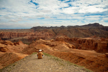 female tourist sits on a hill and looks at the beautiful orange mountains canyons, rear viewの写真素材