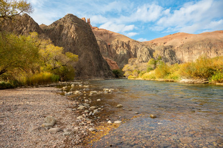 landscape of a mountain river in a mountain gorge with ancient trees and blue bright skyの写真素材