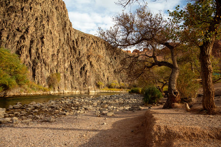 landscape of a mountain river in a mountain gorge with ancient trees and blue bright skyの写真素材