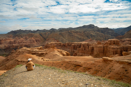 female tourist sits on a hill and looks at the beautiful orange mountains canyons, rear viewの写真素材