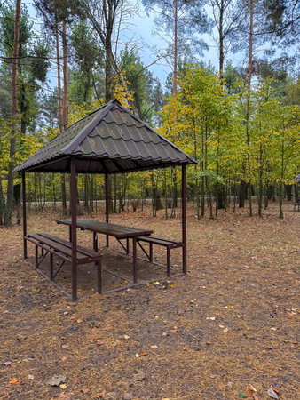 Wooden gazebo with benches on an empty sandy beach by the lake, peaceful scene ready for summer picnicsの写真素材
