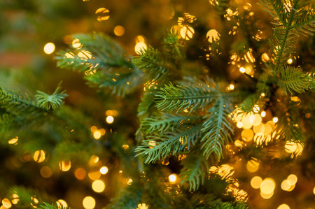 Soft glowing golden Christmas lights forming a bright festive bokeh on lush evergreen branches, creating a warm holiday atmosphere perfect for seasonal backgroundsの写真素材