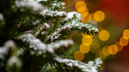 Snow-covered evergreen branch with warm golden lights creating a cozy Christmas atmosphereの写真素材