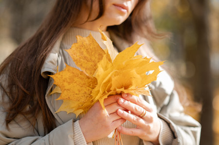 Close-up of yellow maple leaves held in a woman's hand with part of her face blurred in the backgroundの写真素材