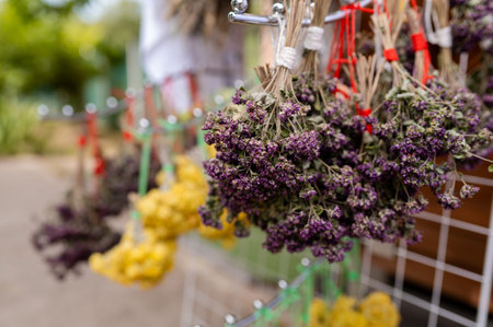 Bunches of dried wildflowers hanging on strings at outdoor market stand, natural herbal bouquets in...