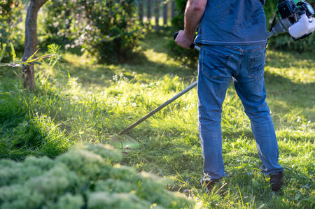 Man in jeans cutting tall grass with string trimmer in backyard garden, concept of seasonal lawn...