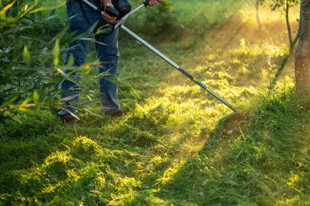 Male gardener cutting overgrown grass with string trimmer in backyard on sunny day, wheelbarrow full...