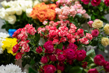Large selection of fresh blooming flowers featuring red pink white and orange roses near yellow and...
