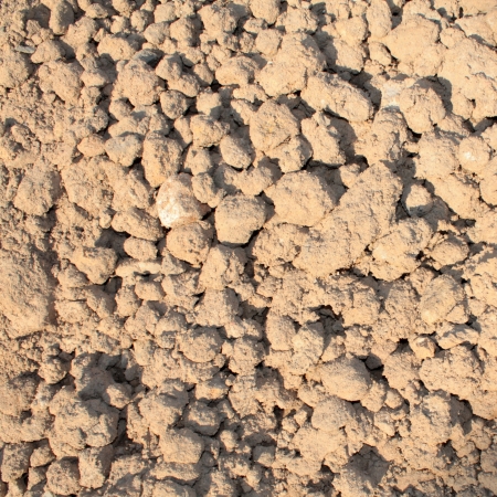 Clods of soilの写真素材