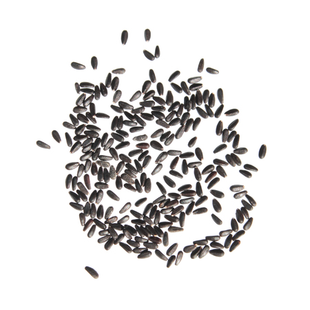 Seeds of common balm (Melissa officinalis) isolated on white backgroundの写真素材