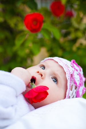 Adorable newborn girl in roses gardenの写真素材