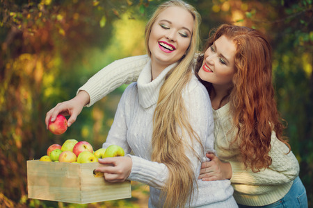 Two sisters in Fall yellow apple orchard. Autumn outside in colorful fall forestの写真素材