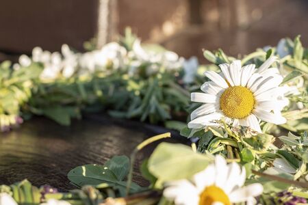 Daisies, white flowers, flowers on the wreath of communion. The Summer Solstice Is The Midsummer Day. The Night Of Midsummer.の写真素材