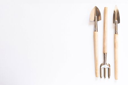 Tools for gardening at home. Growing food on windowsill. Copyspace for text, top view. Flatlay on white backgroundの写真素材