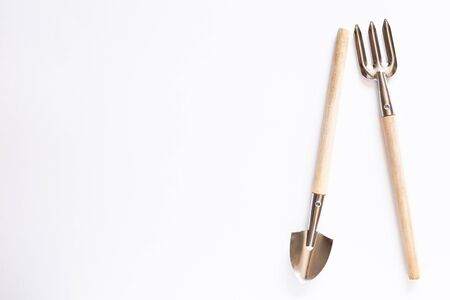 Tools for gardening at home. Growing food on windowsill. Copyspace for text, top view. Flatlay on white backgroundの写真素材
