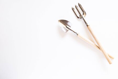 Tools for gardening at home. Growing food on windowsill. Copyspace for text, top view. Flatlay on white backgroundの写真素材