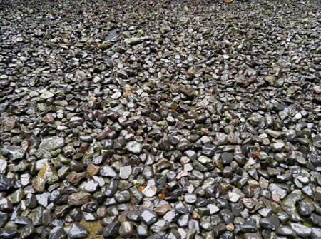 Stone gardenの写真素材