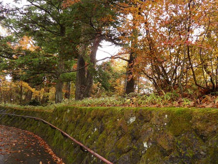 Autumn in Japanの写真素材