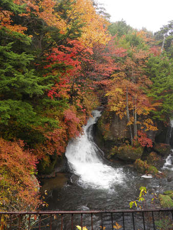 Ryuzu falls ,Nikko ,Japan の写真素材